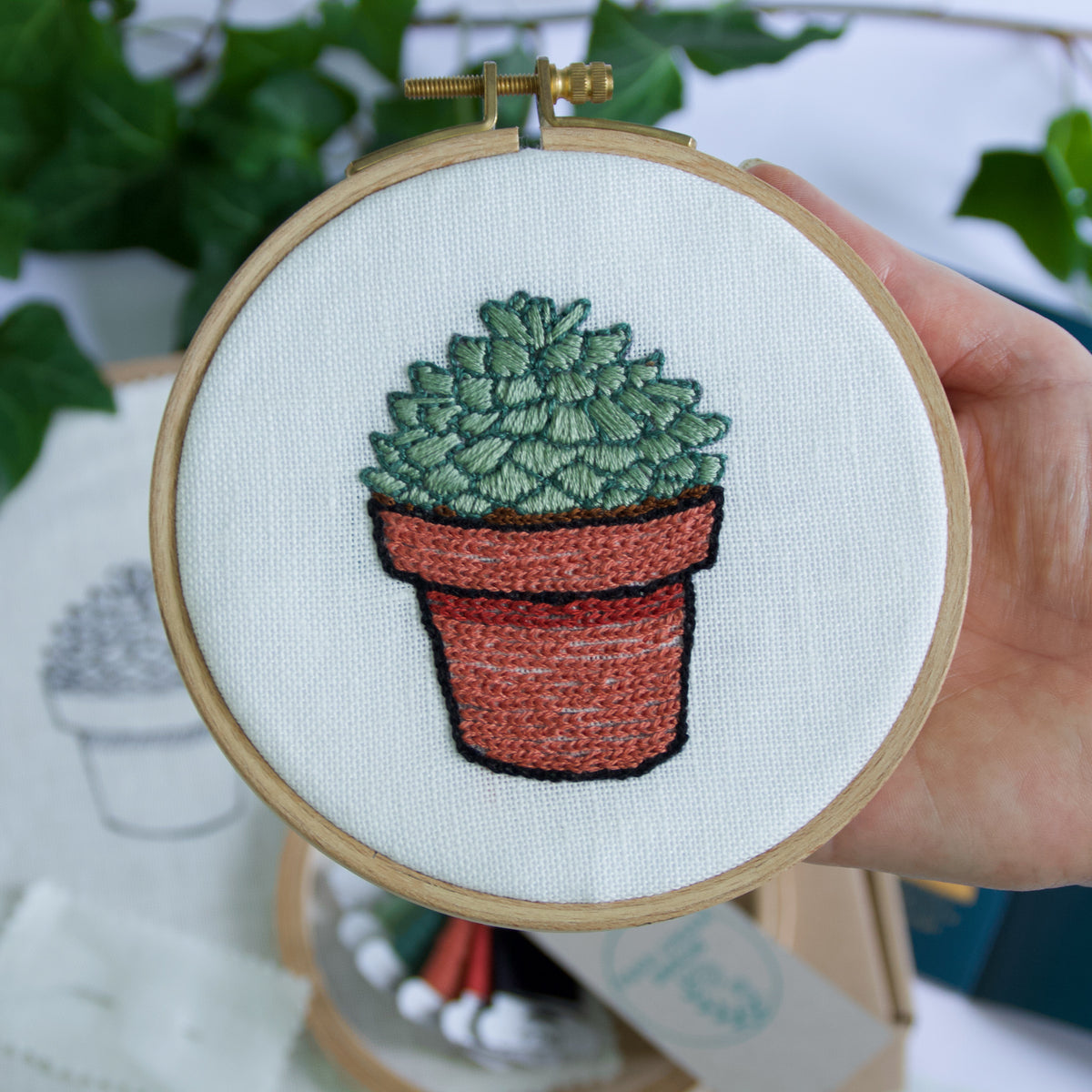 Echeveria – Fern Green Designs