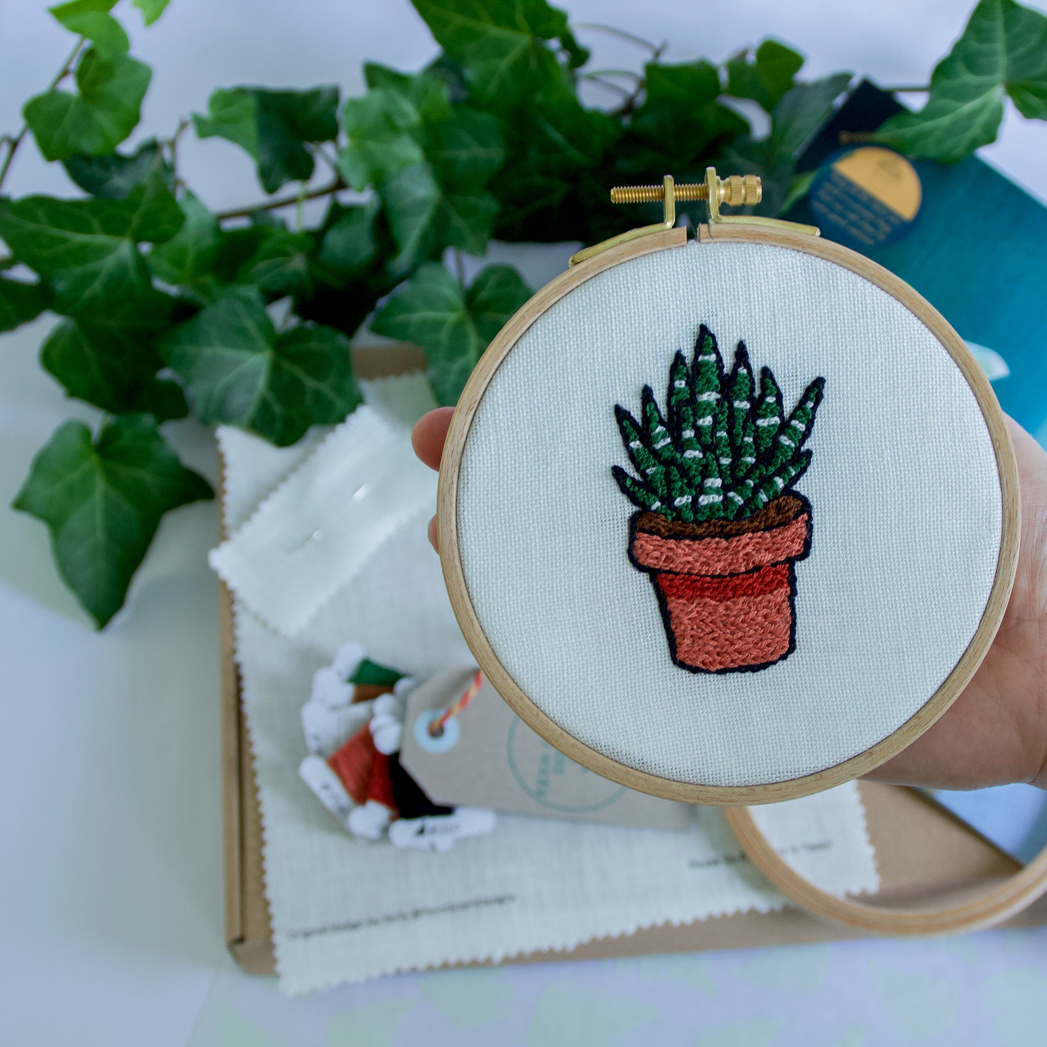 Zebra Plant' Mini Embroidery Kit – Fern Green Designs